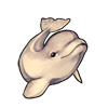 197-beluga-whale.png
