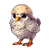 500-hatchling-meep.png