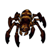 421-brown-spider.png
