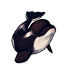 477-orca-whale.png