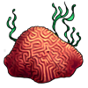 488-brain-coral.png