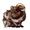 632-horned-guinea-pig.png