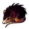 717-spiked-spiny-mouse.png