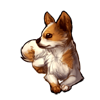 725-fluffy-chihuahua.png