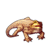 1138-brown-bearded-dragon.png