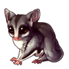 1154-classic-sugar-glider.png