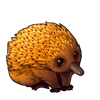 1563-orange-echidna.png