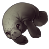 1567-gray-manatee.png