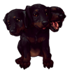 1840-cerberus-doberpup.png