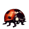 1853-red-ladybird.png