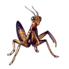 2109-brown-mantis.png