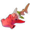 2293-watermelon-deluxe-sharkcicle.png