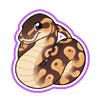 2380-ball-python-sticker.png