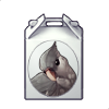 2491-cockatiel-box.png