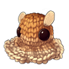 2649-braided-dumbo-octopus.png