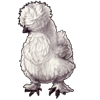 3150-white-silkie-chicken.png