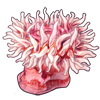3183-sea-anemone-hat.png