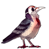 3381-bleeding-heart-plague-bird.png