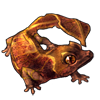 3410-leaf-tailed-gecko.png