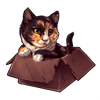 3587-calico-cat-in-the-box.png