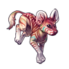 3697-striped-african-wild-dog.png