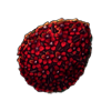 3711-sinister-hoyalty-seed.png