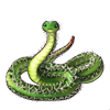 3934-cactus-rough-green-snake-serpenvine