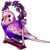 4218-lovely-lilac-budgie.png
