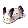 4249-speckled-sea-bunny.png