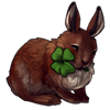 4505-four-leaf-irish-hare.png