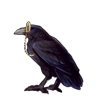 4900-monocle-wearing-raven.png