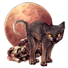 5186-blood-moon-lykoi.png