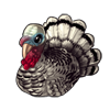 5332-royal-palm-turkey.png