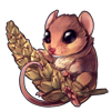 5337-rosy-nose-harvest-mouse.png