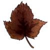 5493-hawthorn-leaf.png