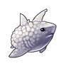 5685-white-cloud-shark.png