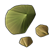 6017-turtle-shell-fragment.png