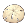 6106-the-perfect-sand-dollar.png