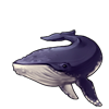 6109-indigo-humpback-whale.png