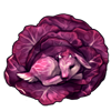 6201-purple-cabbage-kid.png