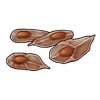 6241-gladiolus-seeds.png