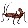 6377-brown-stick-bug.png