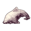6591-dirty-snow-dolphin.png