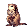 6649-double-quokka.png