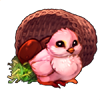 6882-pretty-pink-basket-chick.png