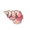 7567-pretty-pink-seashell.png