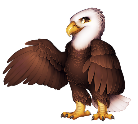 20-9-bald-eagle.png