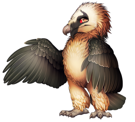 21-9-bearded-vulture.png