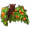 469-orange-fruit-tree-bat.png