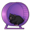 1518-purple-wheel-wheelster.png